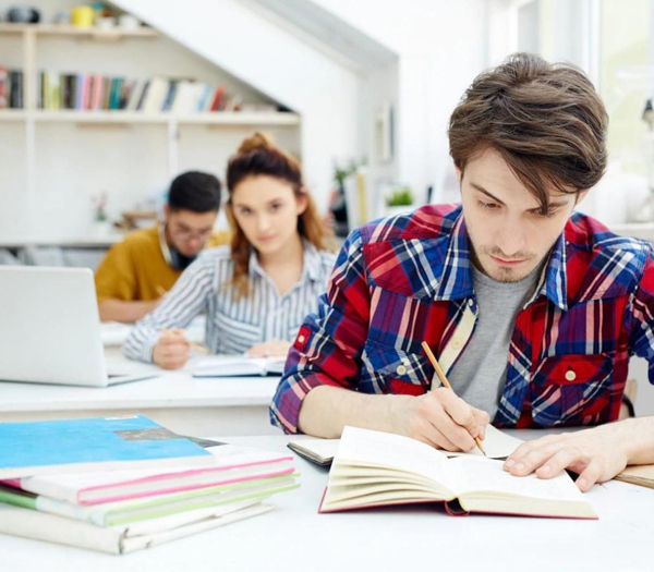 Business/System Analyst